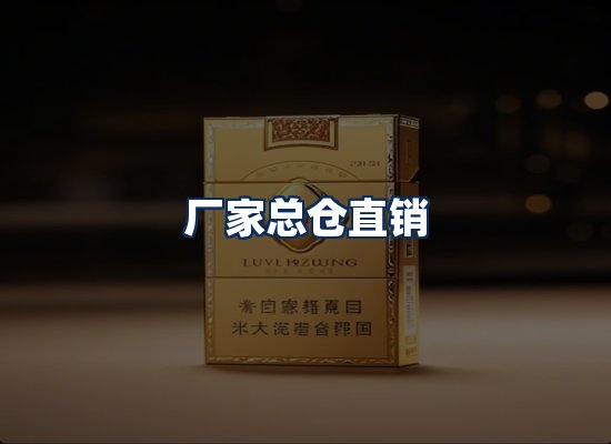 专业团队办公环境